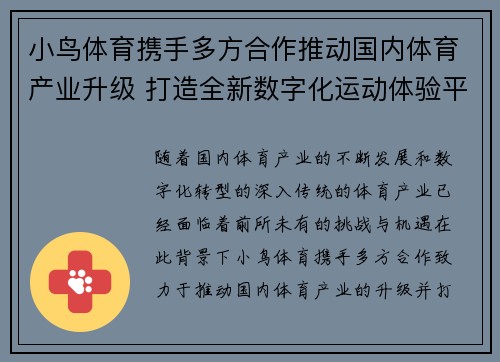 小鸟体育携手多方合作推动国内体育产业升级 打造全新数字化运动体验平台